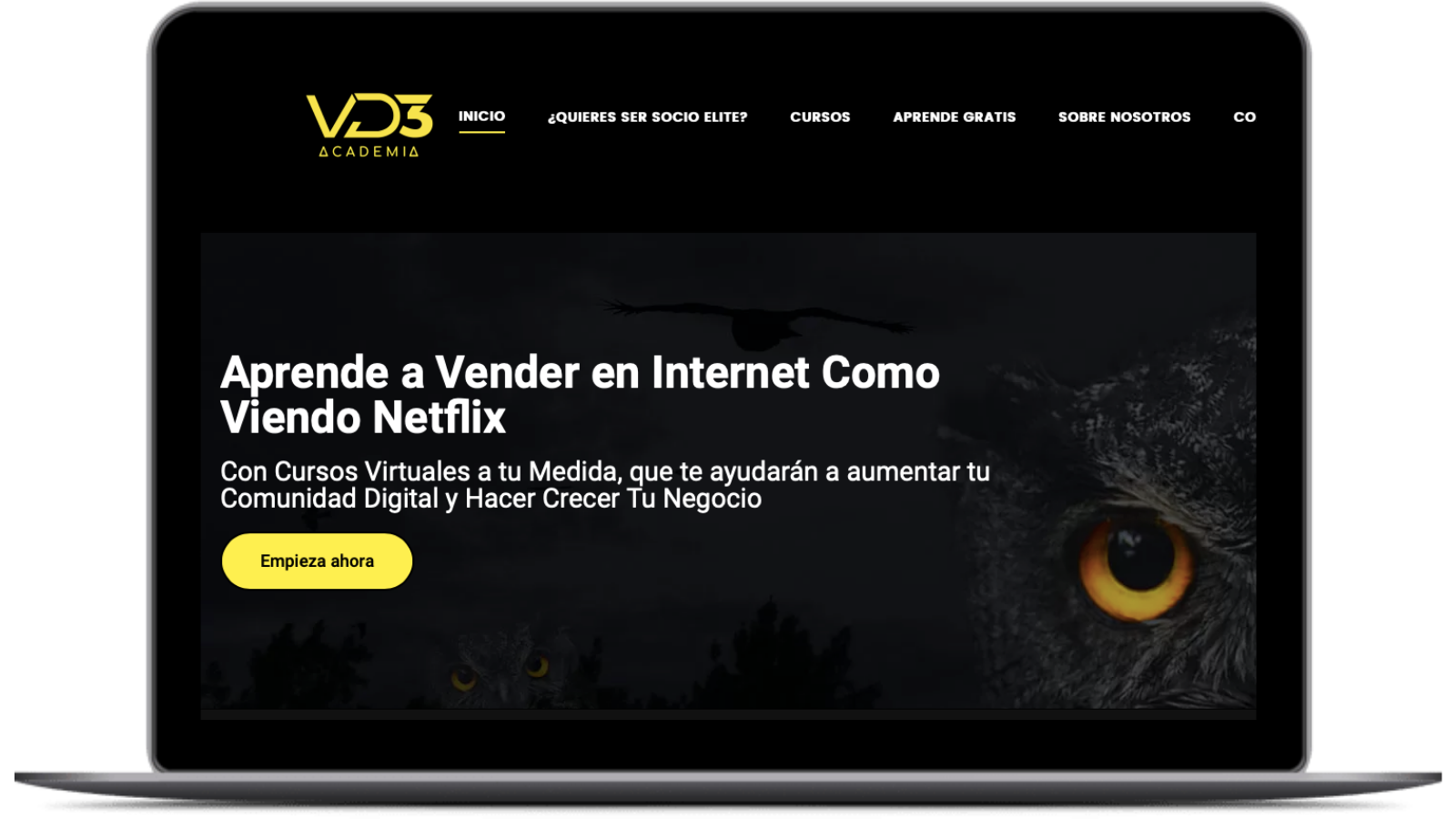 agencia-de-marketing-digital-velezdigital-cliente-vd3academia